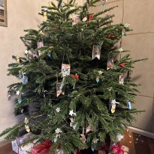 Фото участника (-цы): Елена