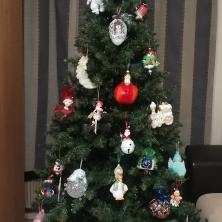 Фото участника (-цы): Александр