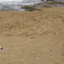 Фото участника (-цы): Наталья