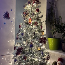 Фото участника (-цы): Екатерина