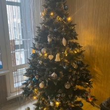 Фото участника (-цы): Ксения