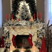 Фото участника (-цы): Никита