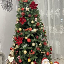 Фото участника (-цы): Нателла