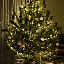 Фото участника (-цы): ДАРЬЯ