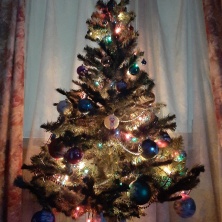 Фото участника (-цы): игорь