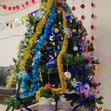 Фото участника (-цы): Марина