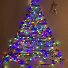 Фото участника (-цы): Юлия