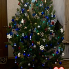 Фото участника (-цы): Надежда