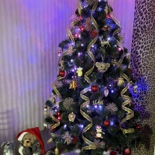 Фото участника (-цы): Татьяна