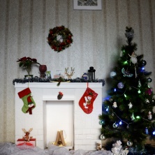 Фото участника (-цы): Юлия