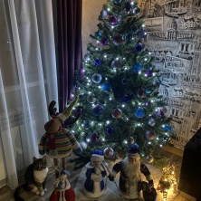 Фото участника (-цы): Екатерина