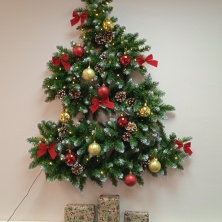 Фото участника (-цы): Юлия