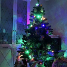 Фото участника (-цы): Антон