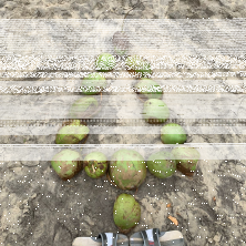 Фото участника (-цы): Дмитрий