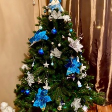 Фото участника (-цы): Ульяна