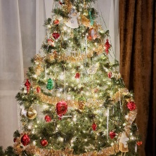 Фото участника (-цы): Лидия