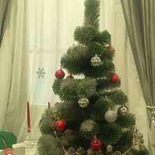 Фото участника (-цы): Наталья