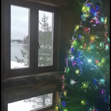 Фото участника (-цы): Юлия