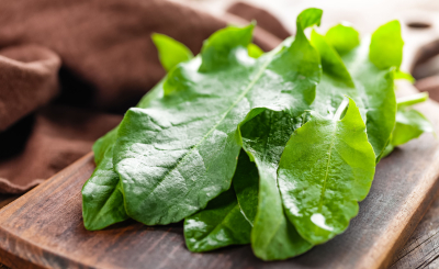 Веские причины добавить щавель в свой рацион