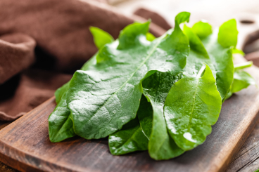 Веские причины добавить щавель в свой рацион