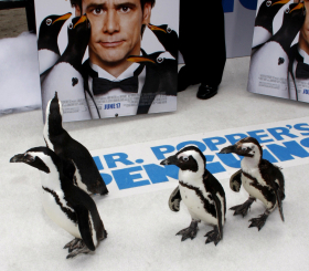 3 увлекательных фильма про пингвинов