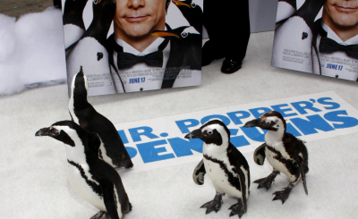 3 увлекательных фильма про пингвинов