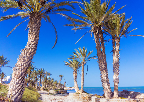  - Радио Romantika