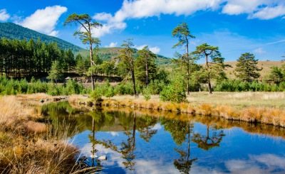 Идея для путешествия: Сербия