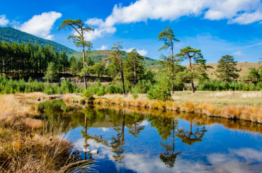 Идея для путешествия: Сербия