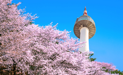 Интересные факты про самый дорогой город мира