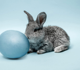 Самые странные суеверия со всего мира