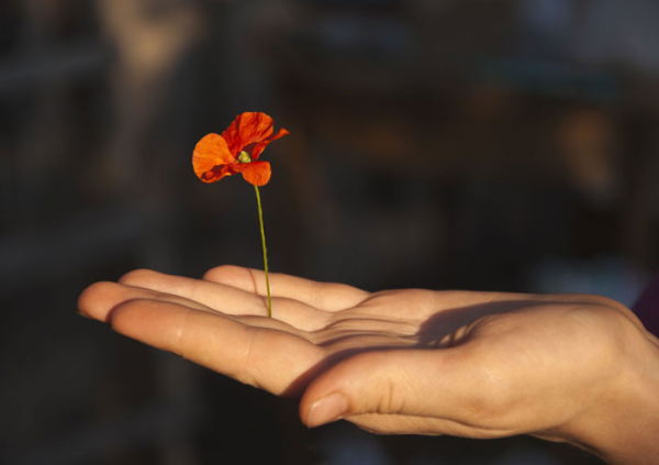  - Радио Romantika