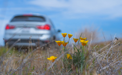 Куда поехать на майские каникулы