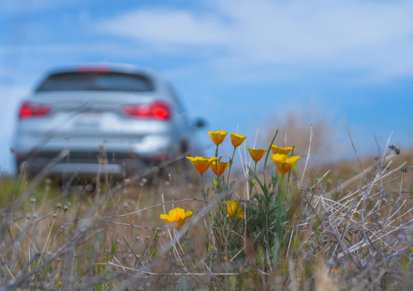  - Радио Romantika