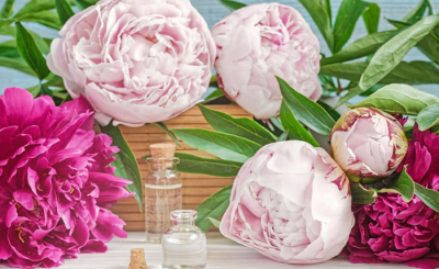 Пионовое настроение на весь год