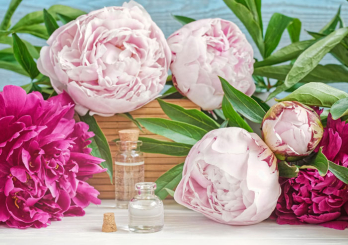 Пионовое настроение на весь год